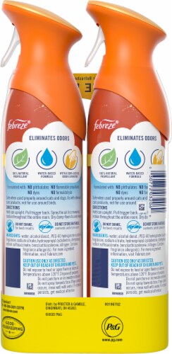 Febreze Air™ Pumpkin Patch Spray Perspective: back