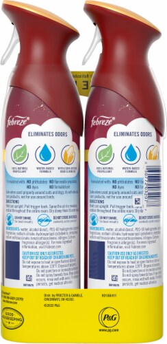 Febreze® AIR™ Limited Edition Cranberry Tart Air Refresher Perspective: back