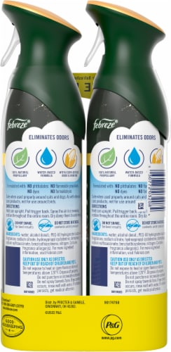 Febreze Air™ Winter Spruce Aerosol Air Freshener Spray Perspective: back