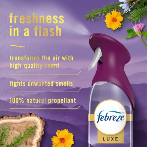 Febreze Mountain Scent Odor-Fighting Air Freshener Aerosol Can Perspective: back
