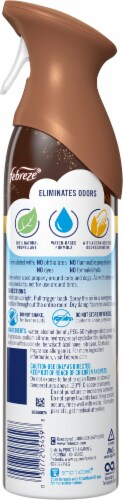 Febreze Air™ Odor-Fighting Cozy Campfire Air Freshener Perspective: back