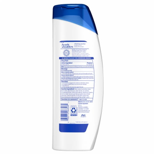 Head and Shoulders Dandruff Men's Shampoo, Refreshing Menthol for Daily Use Perspective: back