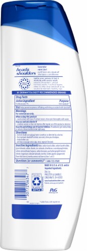 Head & Shoulders® 2-in-1 Lavender Mint Anti-Dandruff Shampoo Perspective: back