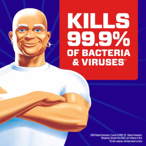 Mr. Clean® Lemon Antibacterial Multi-Surface Cleaner Perspective: back