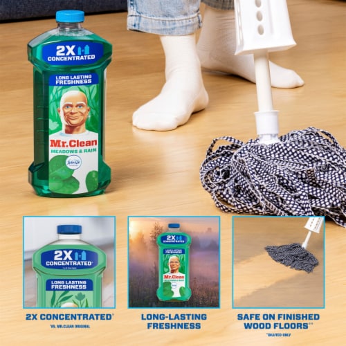 Mr. Clean Liquid Dilute 2X Concentrated Multi-Surface Cleaner Febreze Meadows & Rain Perspective: back