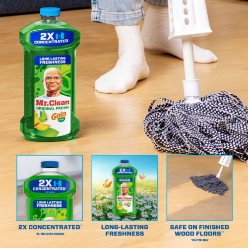 Mr. Clean Liquid Dilute 2X Concentrated Multi-Surface Cleaner Gain Original Fresh Perspective: back