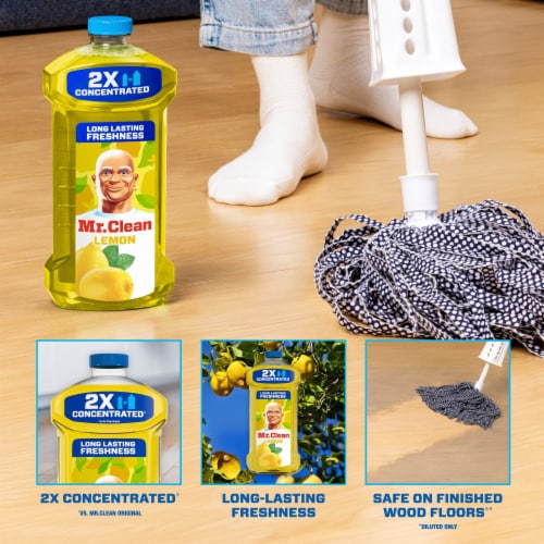 Mr. Clean Liquid Dilute 2X Concentrated Multi-Surface Cleaner Lemon Perspective: back