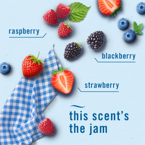 Febreze Odor-Fighting PLUG Air Freshener Oil Refills, Summer Berry Picking Perspective: back