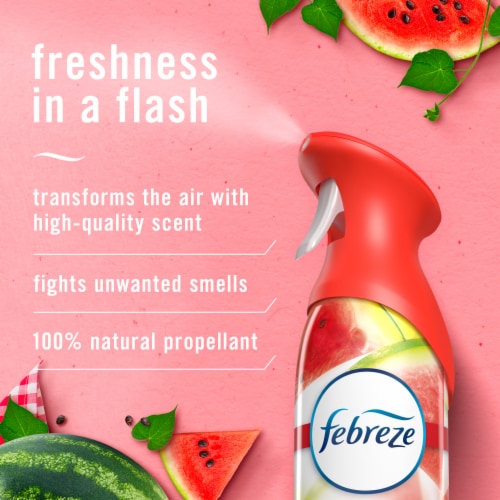 Febreze Air Mist Odor-Fighting Air Freshener Sweet Watermelon Vine Perspective: back
