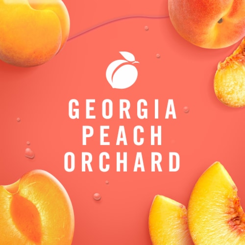 Febreze Air Mist Odor-Fighting Air Freshener Georgia Peach Orchard Perspective: back