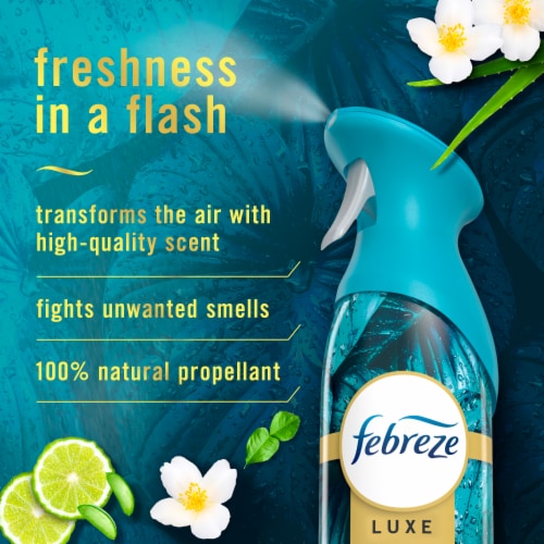 Febreze Air Mist, Odor-Fighting Air Freshener Rainforest Perspective: back