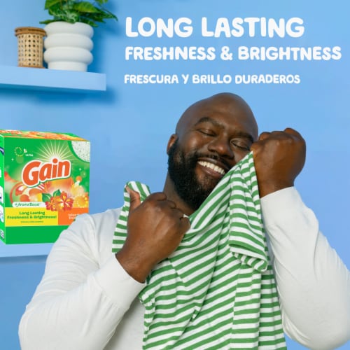 Gain Island Fresh Powder Laundry Detergent Perspective: back