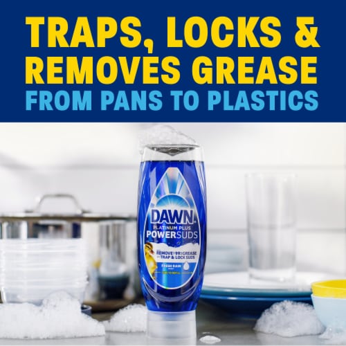 Dawn® Platinum Plus Fresh Rain Dishwashing Liquid Perspective: back