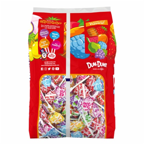 Dum Dums® Original Assorted Flavored Lollipops Candy Bag Perspective: back