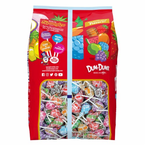 DUM DUMS Variety Flavor Mix Lollipops 200 ct Perspective: back