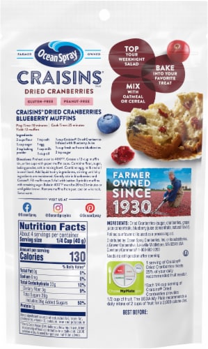 Ocean Spray Blueberry Craisins Perspective: back