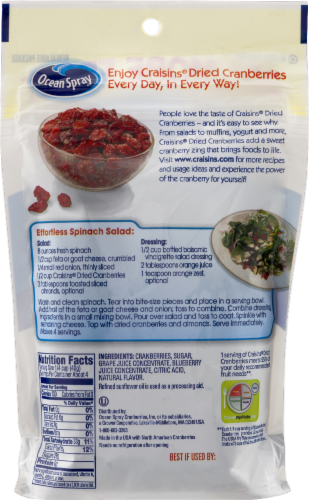 Ocean Spray Blueberry Craisins Perspective: back