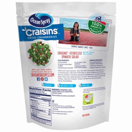 Ocean Spray Cherry Craisins Perspective: back