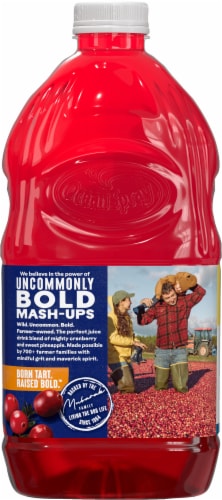 Ocean Spray Cran-Pineapple Juice Perspective: back