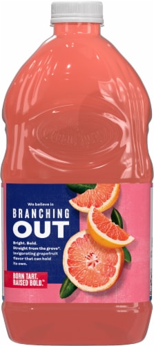 Ocean Spray® Original Ruby Red Grapefruit Juice Drink Perspective: back