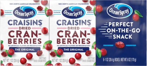 Ocean Spray Original Craisins Gluten Free Snack Packs Perspective: back