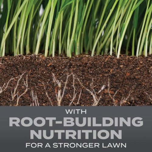 Scotts® Turf Builder® Pacific Northwest Mix Grass Seed Perspective: back