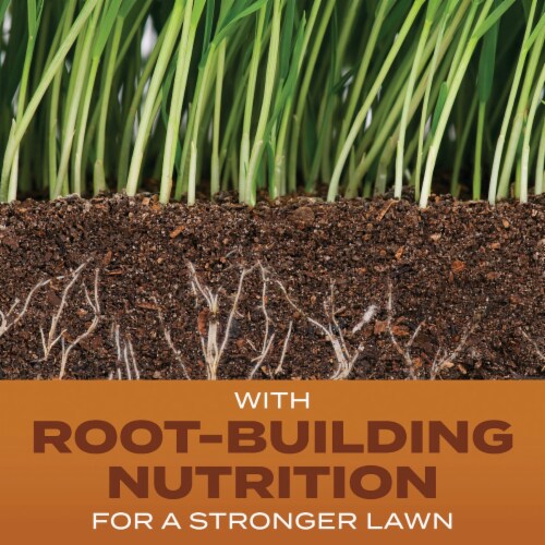 Scotts® Turf Builder® High Traffic Mix Grass Seed Perspective: back