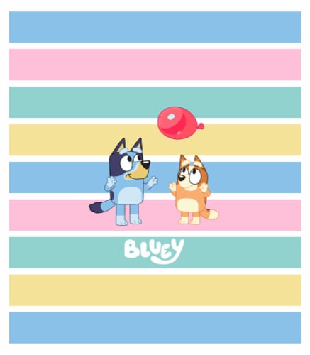 Bluey Birthday Reversible Two Piece Comforter Set Perspective: back