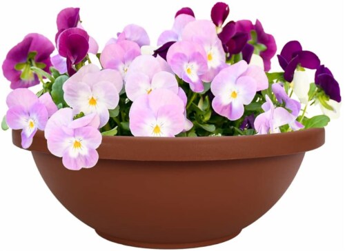 Myers-itml-akro Mils Clay Garden Bowls Perspective: back