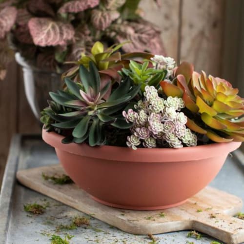 Akro-Mils Garden Bowl - Clay Perspective: back