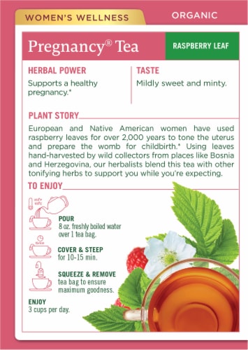 Traditional Medicinals® Organic Pregnancy® Tea Bags Perspective: back