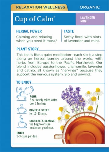 Traditional Medicinals® Easy Now Tea Perspective: back