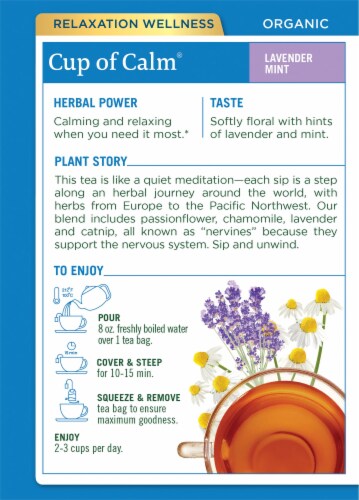 Traditional Medicinals® Easy Now Tea Perspective: back