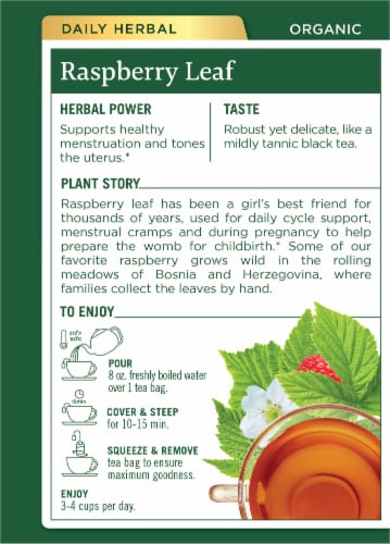 Traditional Medicinals® Organic Raspberry Leaf Tea Bags Perspective: back