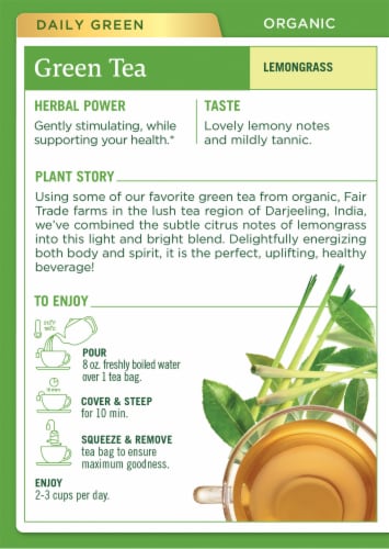Traditional Medicinals Organic Golden Green Tea Bags Perspective: back