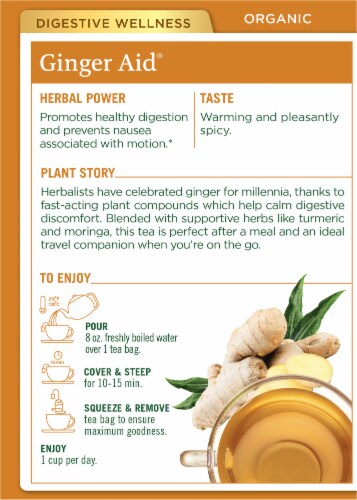 Traditional Medicinals® Organic Ginger Aid Tea Bags Perspective: back