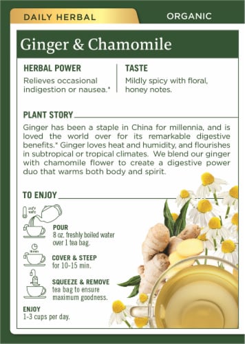 Traditional Medicinal Organic Ginger with Chamomile Tea Bags Perspective: back