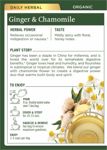 Traditional Medicinal Organic Ginger with Chamomile Tea Bags Perspective: back