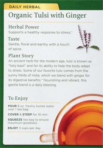 Traditional Medicinal Tulsi With Ginger Tea Bags 16 Count Perspective: back