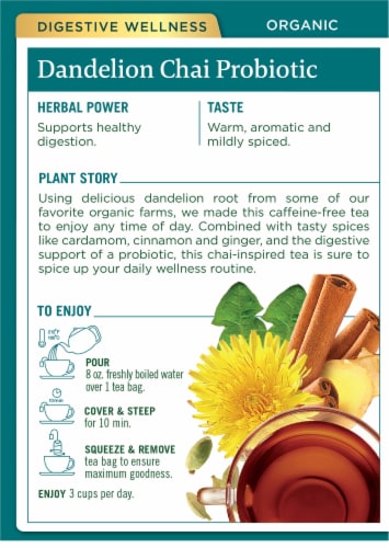 Traditional Medicinals® Organic Dandelion Chai Probiotic Tea Bags Perspective: back