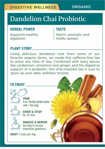 Traditional Medicinals® Organic Dandelion Chai Probiotic Tea Bags Perspective: back