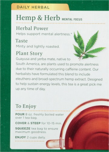 Traditional Medicinals Hemp + Guayusa Mint Herbal Tea Perspective: back