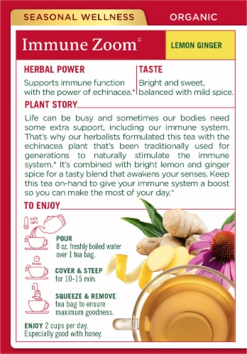 Lemon Ginger Immune Toddy – The Botanica Boutique