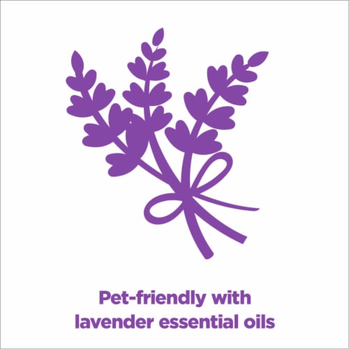 ARM & HAMMER Forever Fresh Lavender Clumping Cat Litter Perspective: back