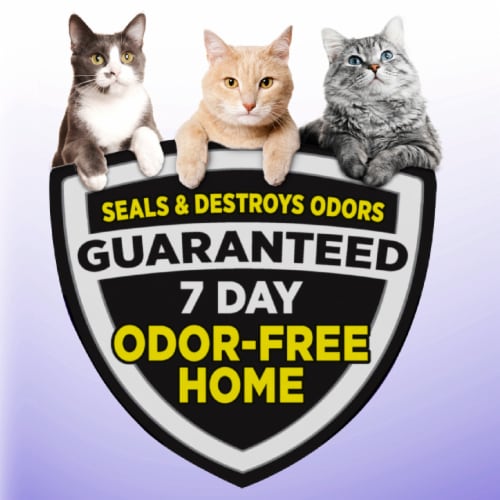 Arm & Hammer Slide Multi-Cat Clumping Litter Perspective: back