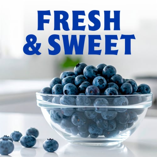 Fresh Blueberries - 1 LB Clamshell Perspective: back