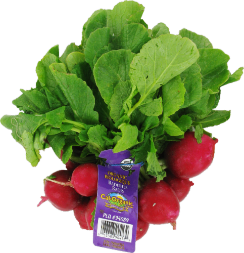 Organic Radishes Perspective: back