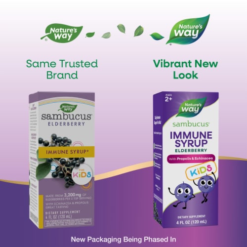 Nature's Way Sambucus® Elderberry Immune Syrup for Kids Perspective: back
