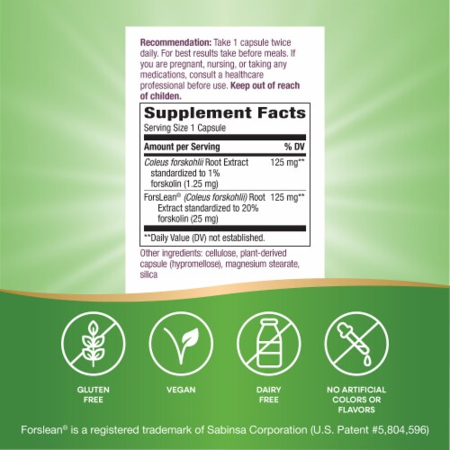 Nature's Way Forskohlii Premium Blend Forskolin Capsules 125 mg ForsLean Per Serving Perspective: back