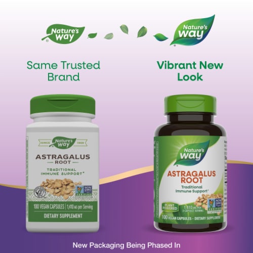 Nature's Way Astragalus Root Capsules 1410mg Perspective: back